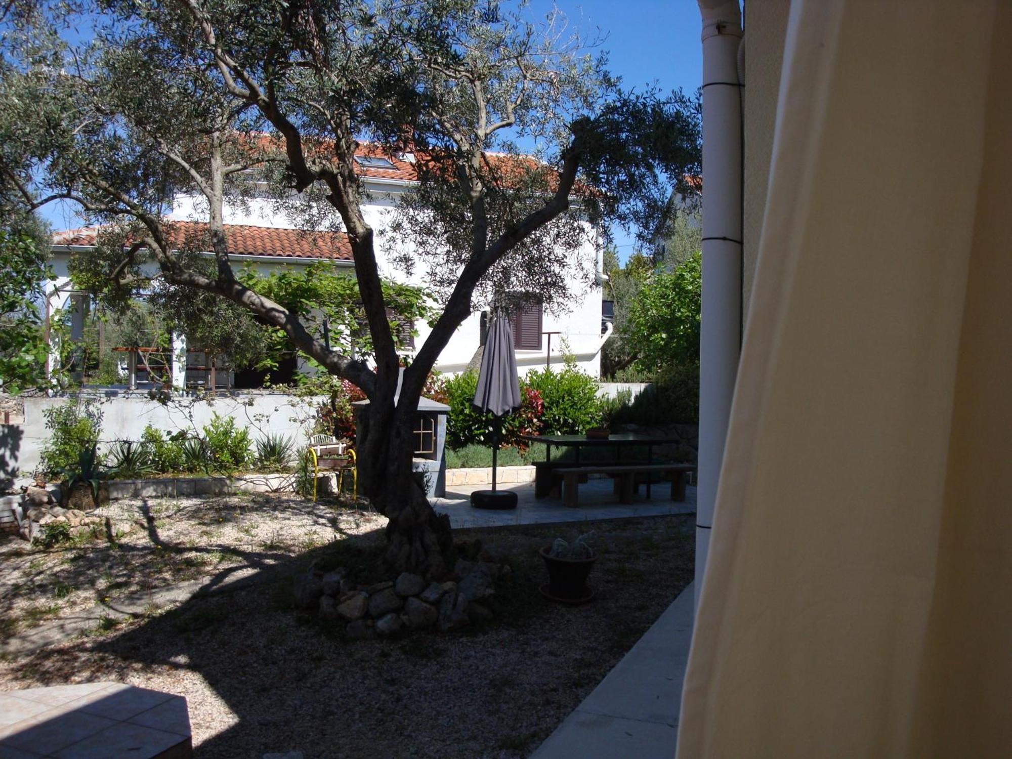 Apartments Olea Pinezici  Luaran gambar